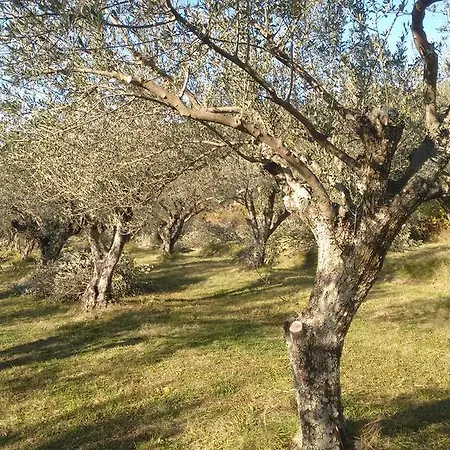 Luna Osp